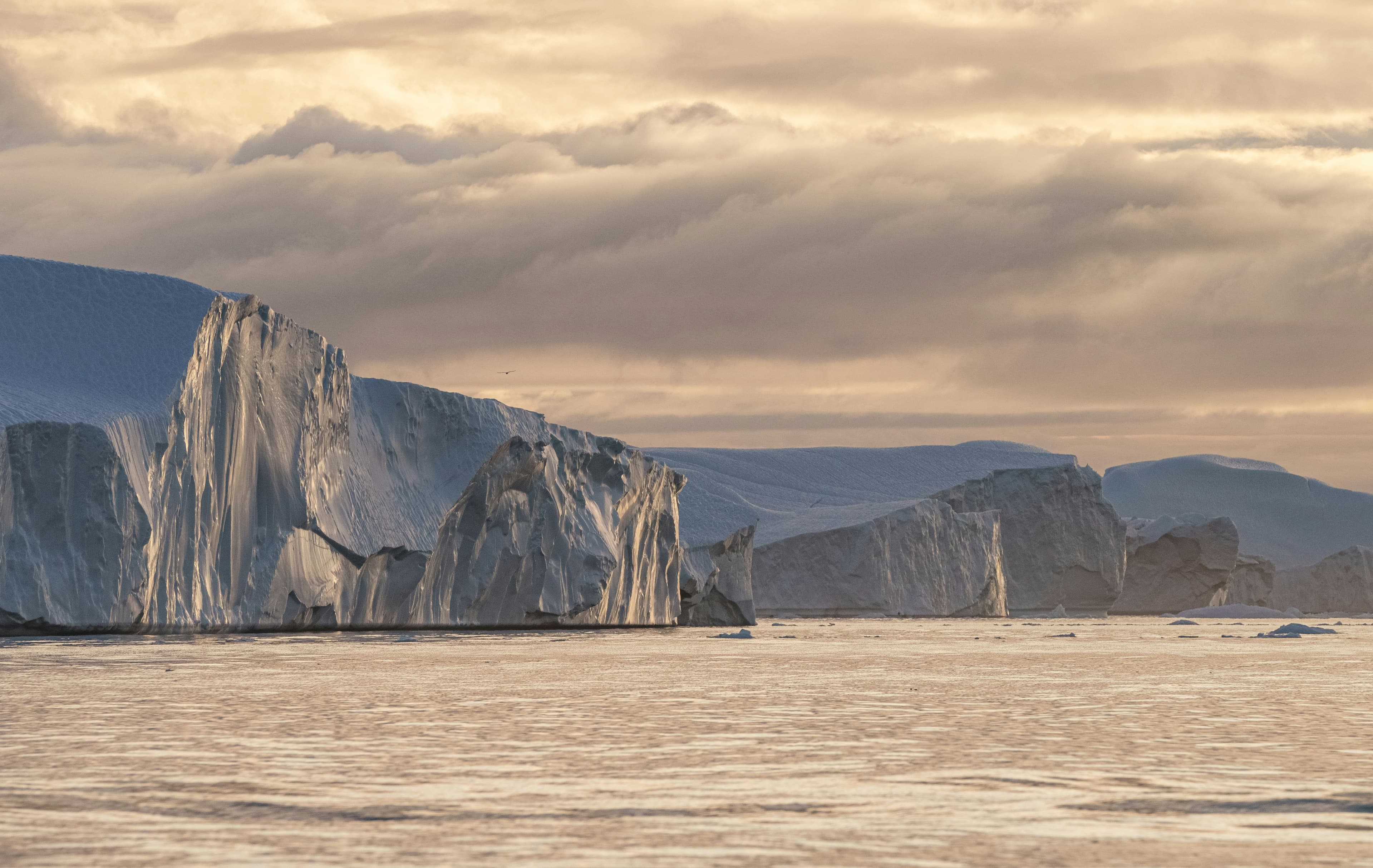 Opening Bell: Pursuit of Greenland