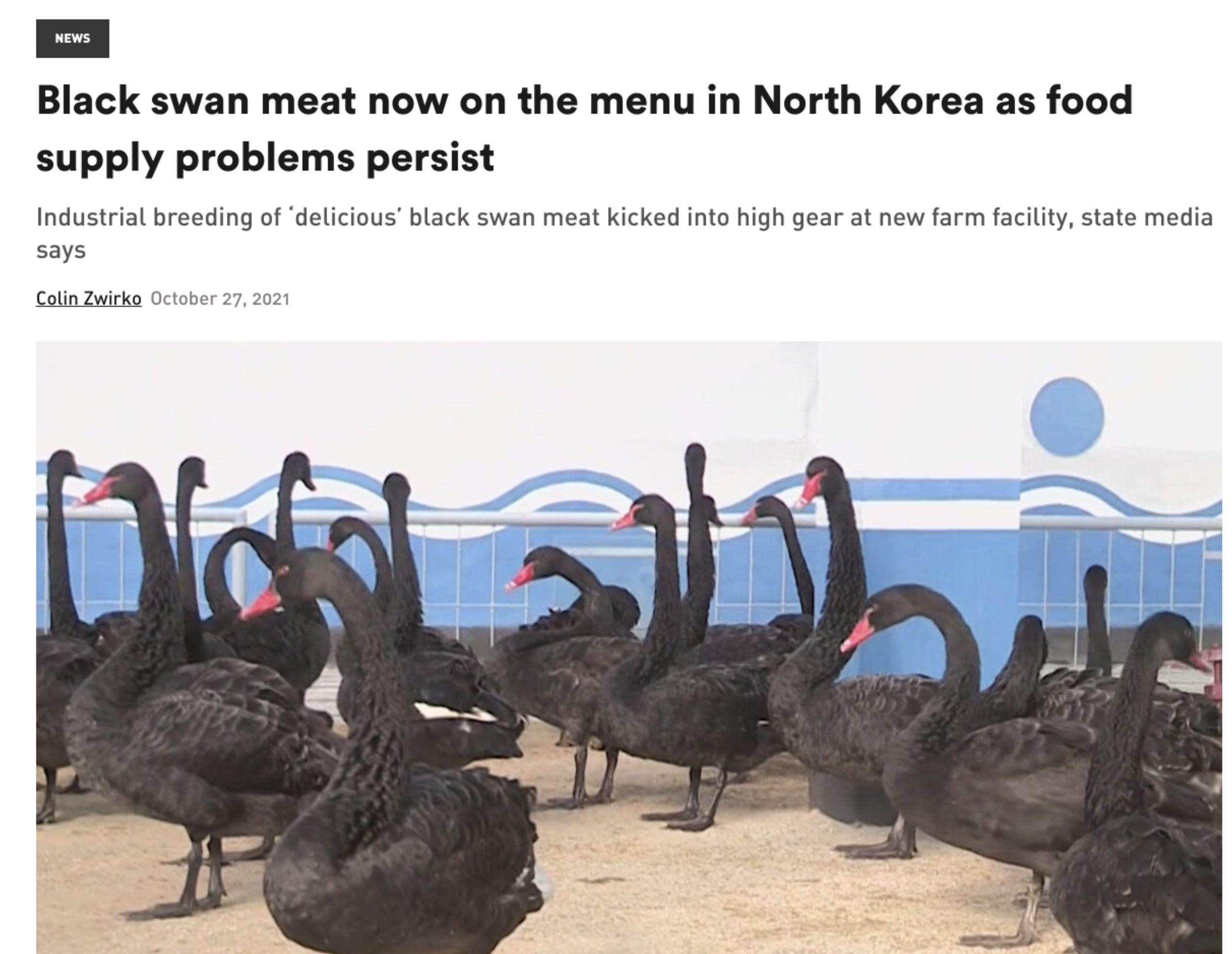 Black swan meat now on the menu and stock research